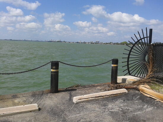 Mittagspause mit Tier