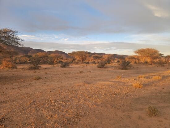 Übernachtung nahe des Trockenflussbetts des Wadi Draa