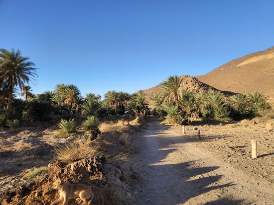 Die Zufahrt zum Campingplatz