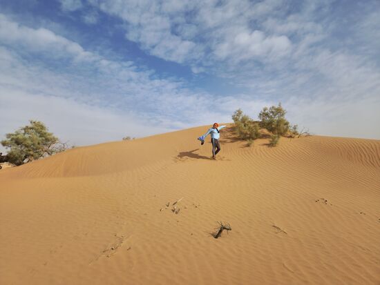 Leider konnten wir aufgrund der widrigen Bedingungen nicht weit in den Erg hineinfahren und die wirklich großen Dünen bestaunen - das muss bis zum nächsten Mal warten. Die Fotos sind in den wenigen Momenten entstanden, in denen eine einigermaßen gute Sicht hatte