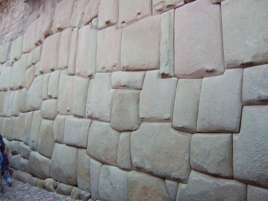 Na, wer erkennt Puma und Schlange?