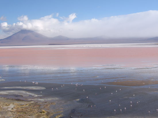 Die weissen Punkte sind uebrigens alles Flamingos