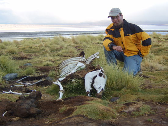 Zufrieden nach dem Festtagsschmauss 