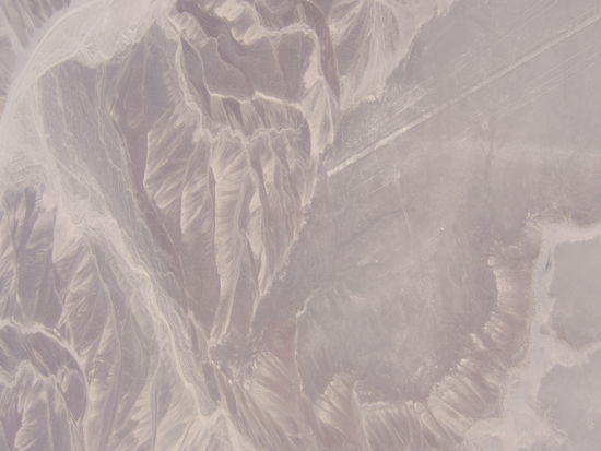 Eines der besten Bilder, das ich aus der Luft schiessen konnte. Wer erkennt den Kolibri? Tipp: Ende der Linie