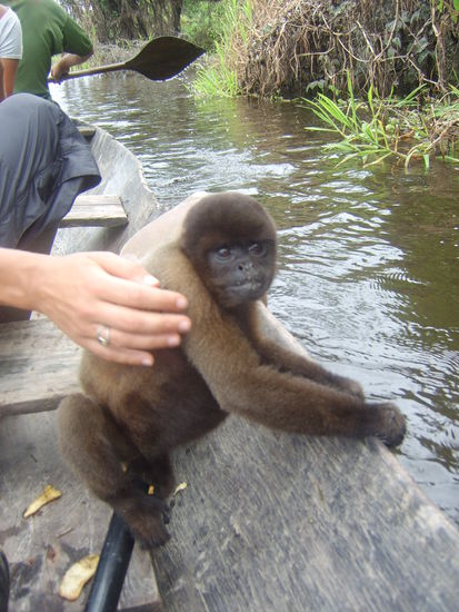 ...ganz verängstigt, am Ende...