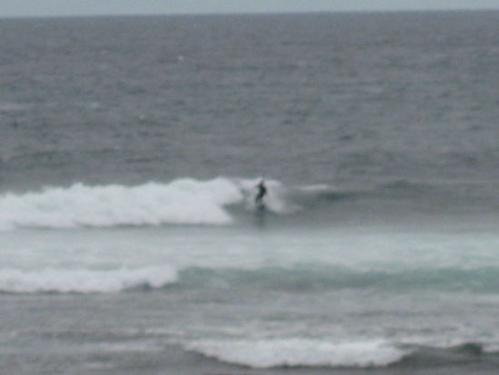 schaut guat aus-oder?