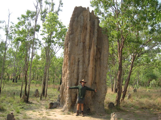 Crocodile Jake Dundee und ein Termitenhuegel
