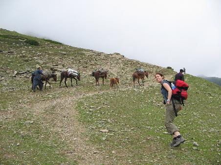 4 Ponys +3 Guides fuer 1 Nacht am Berg