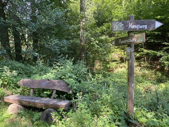 Gefühlt führen alle Wege zum Ravensberg. Kann aber auch daran liegen, dass Steffi mich ein klein wenig ärgern will, indem sie immer einen "Schlenker" einbaut, wo ein Ravensberg Wegweiser steht. Wegen meiner schlechten Orientierung haben ich nicht wirklich eine Ahnung, wo es lang geht, geschweige denn, wo wir sind.
Die obligatorische Bank muss natürlich auch auf's Bild.
