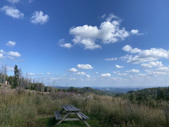Panoramablick mit Bank.
Ist mir erst jetzt aufgefallen, dass ich wieder eine mit aufgenommen habe. Scheinen mich magisch anzuziehen. Entwickelt sich hoffentlich nicht zu einem Fetisch 