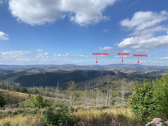 Vor uns der Achtermann, der Brocken und der Wurmberg.
Den Achtermann und den Brocken haben wir schon Pfingsten erklommen. 
Am Wurmberg bin ich 1,2km vor dem Gipfel, es waren aber noch 100 Höhenmeter, wegen fehlender Kraft und leerem Akku gescheitert.
Den muss ich diesemal schaffen. Sagt die Chefin...