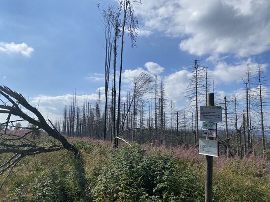 Ich liebe diesen Wegweiser ...