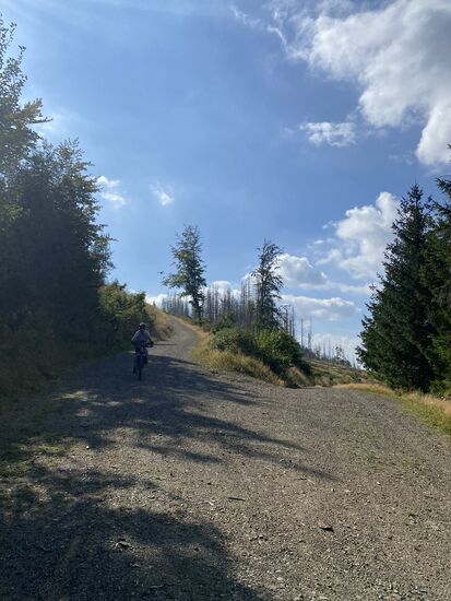 Diesmal war genügend Zeit, um mich auf das "Zielfoto" von Steffi vorzubereiten.
