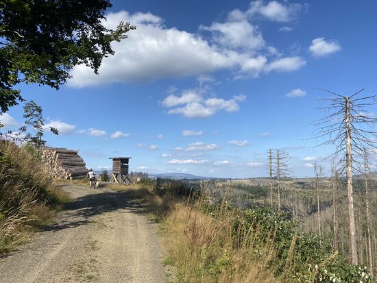 "Holz neben der Hütt'n"...