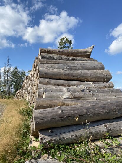 ... kunstvoll in einer leichten Biegung und Neigung aufgeschichtet.