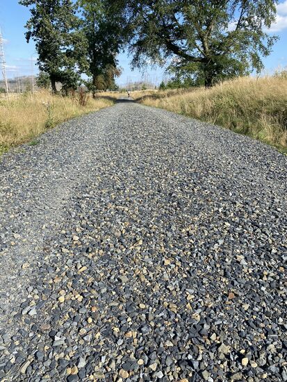 Neu geschotterter Weg mit zwei festgefahrenen Spuren. Es würde mich interessieren, ob diese beiden Spuren hauptsächlich von den Radfahrern stammen oder doch von Fahrzeugen der Forstverwaltung.