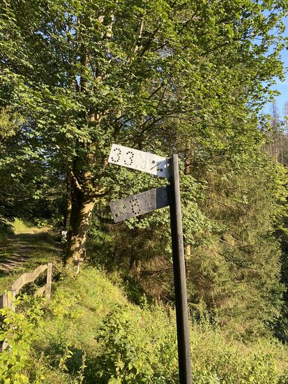 Heute ist die alte Bahntrasse ein Radweg. Den Hinweis dazu hatten wir ja auf dem Weg zum Café Forellenteich schon bekommen. Jetzt konnten wir ihn auch einordnen.
Von daher hat sich das Missgeschickt mit dem geschlossenen Café doch noch ins positive gekehrt.
Die gesamte 24km lange alte Bahntrasse kann mit dem Fahrrad befahren werden. Das steht nun auch auf unserer Tourenliste.
Und jetzt wissen wir auch, das wir unterwegs sehr gut einkehren können.