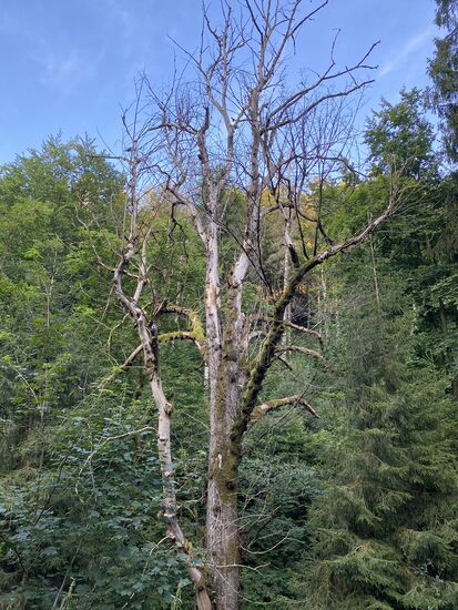 Also zurück auf dem einfachen Radweg.