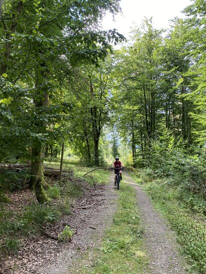 Ich darf Steffi nicht zu nah dran fotografieren. Dann müsste sie ja "Gute Mine zum bösen Spiel machen".