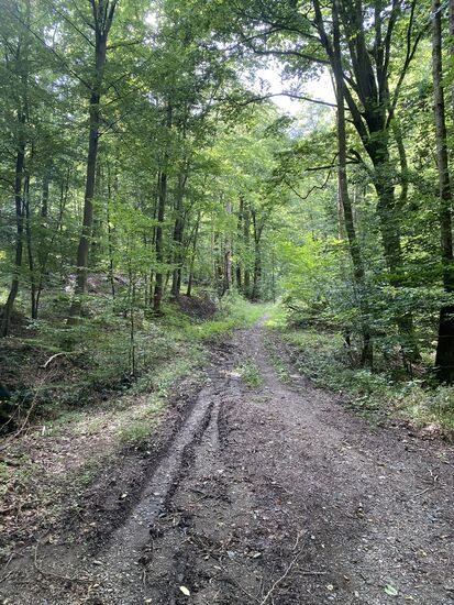 Diesen alternativen Weg haben wir Pfingsten schon nicht ausprobiert. An der Bodenbeschaffenheit hat sich seit dem nicht viel geändert.