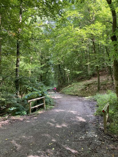 Dann doch lieber wieder hier lang.