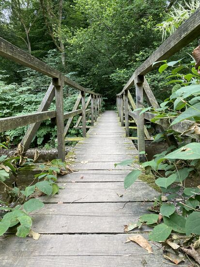 Diese Brücke ist die Alternative, um nicht durch den Bachlauf fahren zu müssen.