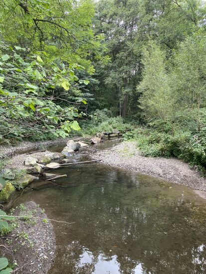 Blick nach Links von der Brücke.