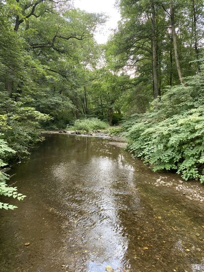 Blick nach Rechts von der Brücke. Kurz vor der Wasserkante ist die Stelle, an der Mann den Bachlauf durchfahren kann.
Video der wagemutigen Flussdurchquerung