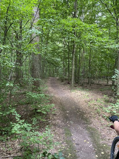 Das ist der Weg dahin.