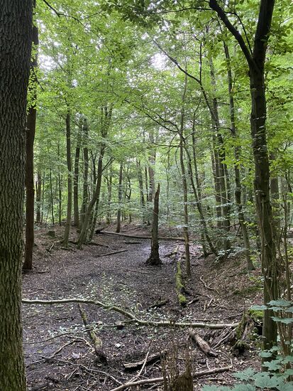 Hier soll er irgendwo sein. War absolut nicht schwer zu finden.