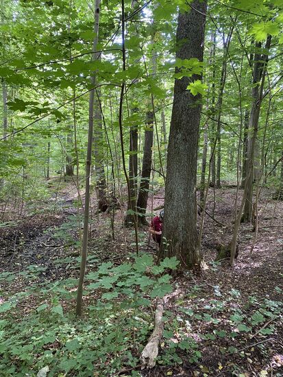 Ein aufwendiges Versteck Ist aber auch nicht notwendig. Hier kommen nur wenige Muggles vorbei.