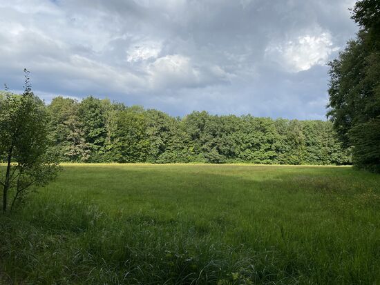 Da ziehen sie hin, die bösen dunklen Wolken.