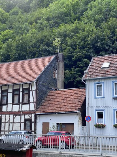 Der Baum der aus dem Schornstein wächst.