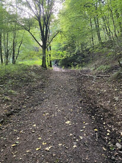 Er mündet auf einen anderen Weg der klar als offizieller Weg zu erkennen ist.