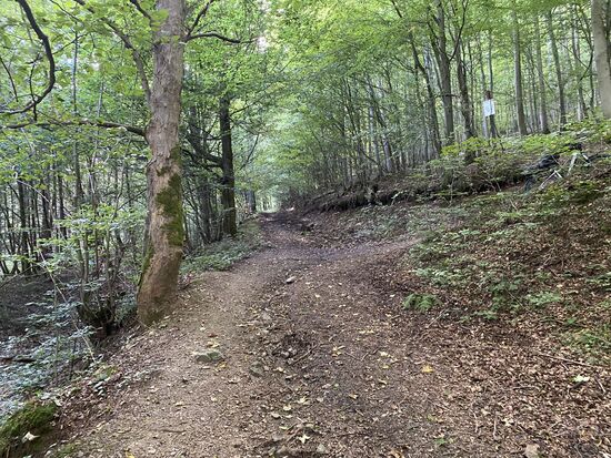 HIer geht es steil nach oben und dann gleich rechts in eine Spitzkehre weiter.
Sieht leichter aus als es tatsächlich war. Technisch schon anspruchsvoll, da steil und viele lose Steine.