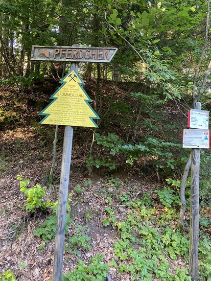 Dort gäbe es einen Stemple der "Harzer Wandernadel". Allerdings ist der Weg dorthin nur zu Fuß zu erreichen. Ich habe es ausprobiert und bin an steilen Stufen gescheitert.