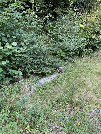 Das war mal eine Bank.