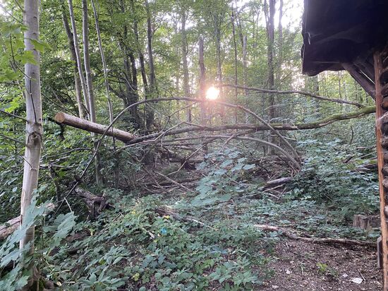 Hinter der Hütte könnte auch mal aufgeräumt werden. Liegt alles wie "Kraut und Rüben" rum.