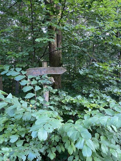 Stillvoller Wegweiser.