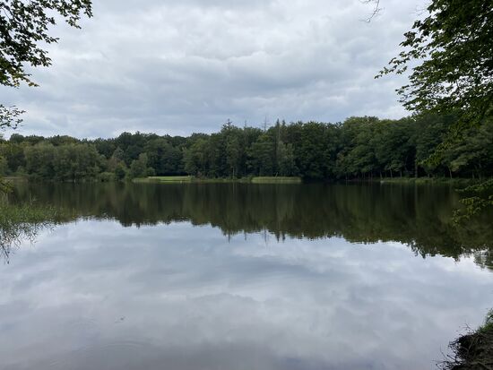 Der "Priorteich". Den hat Steffi bestimmt schon 10x fotografiert. Sie hat halt Erinnerungen aus Ihrer Kindheit an diesen Ort. Für mich ist das nur "irgendein" Teich.