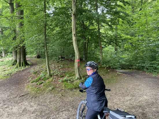 An dieser Stelle sind wir uns immer nicht ganz sicher, welchen Weg wir nehmen sollen. Das Navi kennt nur einen Weg.
Zum Glück führen aber alle Wege (an dieser Abzweigung" nach Walkenried.