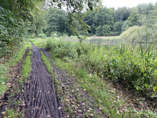 Steffi's Kommentar: "Was hast Du denn da wieder für einen Weg ausgesucht!"
Sie führte zu dem Zeitpunkt ein Selbstgespräch 