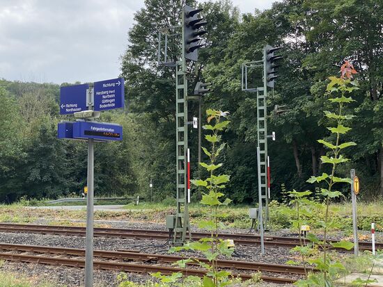 Es wächst und gedeiht am Bahnhof.
