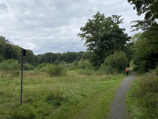 Hier geht es nun los mit der SHE Trasse. Wäre holfreich gewesen, wenn dort nicht nur der Wegweiser für den Fahrradweg zu sehen wäre. Ein kleines "SHE" zusätzlich sollte doch möglich sein.
