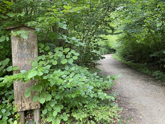 Schild mit Weg. Ganz viele Fotos sind nur deshalb entstanden, um später nachvollziehen zu können, in welche Richtung man weiterfahren muss. Es gibt teilweise Schilder die so ausgeblichen und/oder zugewachsen sind, dass wir länger gesucht haben.