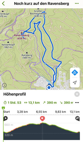 Steffis Aufzeichnung in Komoot