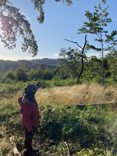 Der Turm da hinten, der aus dem Wald herausragt, ist der Rabvensberg. Wirkt auf dem Bild sehr weit weg. Mit dem Rad ist er aber schnell erreicht. Von hier aus noch 4km Strecke.