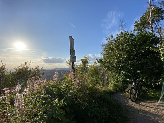 Ich habe wieder den kurzen, direkten Trail nach oben genommen 
Bike, Bank und Sonne auf einem Bild. Diese Chance konnt ich mir kurz vor dem Gipfel nicht nehmen lassen.