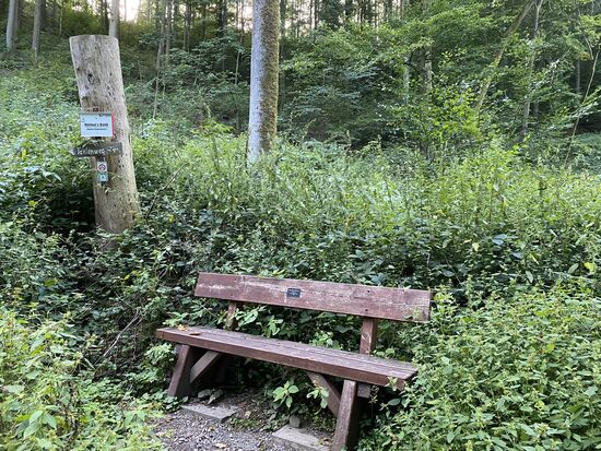 Kurz vor Bad Sachsa haben sich unsere Wege an "Helmuts Bank" getrennt. 
Ich habe die Abkürzung über den Trail genommen. Und damit wir uns nicht wieder verpassen, treffen wir uns gleich an der Ferienwohnung.
Beim letzten mal hatten wir bei der Absprache, "Wir treffen uns unten" unterschiedliche Vorstellungen. Beide haben dann 5 Minuten an verschiedenen Stellen auf den anderen gewartet.