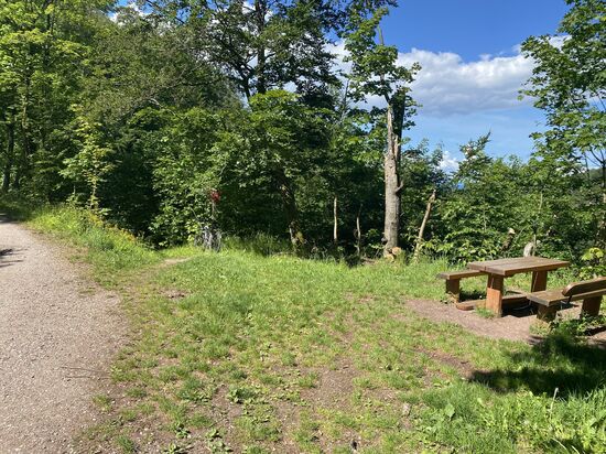 Beim kleinen roten Schild ist der Anfang des Trails. Durchgehend S1. Technisch nicht sehr anspruchsvoll. Der Kopf ist eher das Problem. Durchgehend nur 30cm breit, immer direkt am Hang entlang. Rechts geht es etwas steiler runter und der Pfad hat meistens auch noch leichtes Gefälle nach rechts. 
Ich bin ihn zwar schon öfters gefahren, aber ich habe immer noch Respekt davor. Vielleicht liegt es aber auch am Alter 
Fotos vom Trail gibt es keine, weil „Im Tunnel“